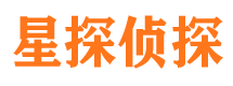 凉山市侦探调查公司